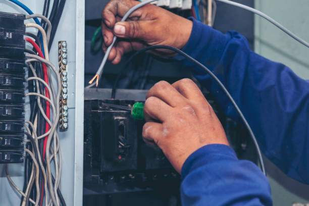 Best Local Electrician Companies  in Dunnavant, AL