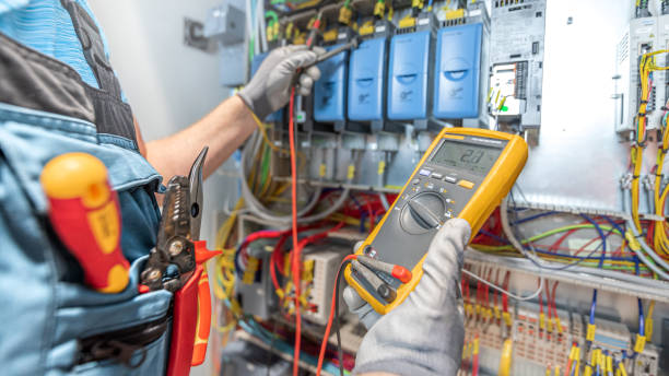 Best Electrician for Home Renovation  in Dunnavant, AL